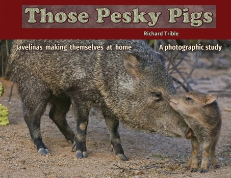 Paperback Those Pesky Pigs: Javelinas making themselves at home A photographic study Book
