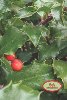 Daily Notebook: A Lined Notebook To Write In For Notes / Lists / Important Dates / Thoughts / 6" x 9" 120 Pages / Holly With Bright Red Berries On The Cover In Fremont Ohio