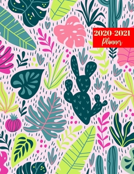 Paperback 2020-2021 Planner: Nice Jan 1, 2020 to Dec 31, 2021: Daily, Weekly & Monthly View Planner, Organizer & Diary Book