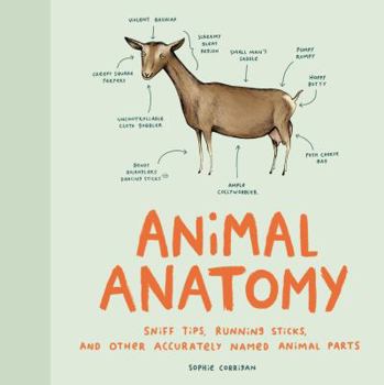 Hardcover Animal Anatomy: Sniff Tips, Running Sticks, and Other Accurately Named Animal Parts Book