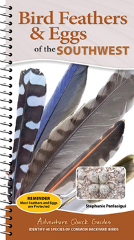 Spiral-bound Bird Feathers & Eggs of the Southwest: Identify 40 Species of Common Backyard Birds Book