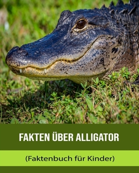 Paperback Fakten über Alligator (Faktenbuch für Kinder) [German] [Large Print] Book