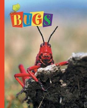 Hardcover Bugs Book