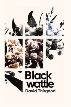 Paperback Blackwattle Book