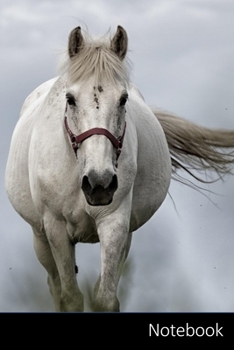 Paperback Notebook: White Horse, Cavallo, Natura, Animale taccuino / agenda / quaderno delle annotazioni / diario / libro di scrittura / c Book