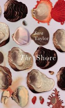 Hardcover The Shore Book