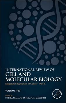 Epigenetic Regulation of Cancer - Part E (Volume 400) (International Review of Cell and Molecular Biology, Volume 400)