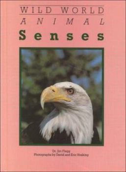 Library Binding Animal Senses Book
