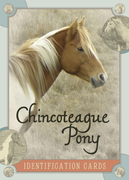 Cards Chincoteague Pony Identification Cards Book