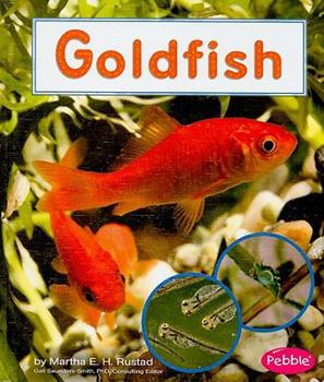 Library Binding Goldfish Book
