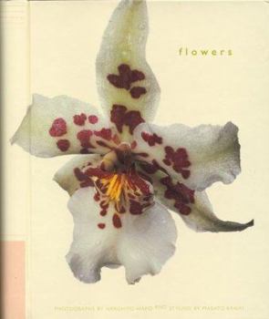 Hardcover Flowers Address Book