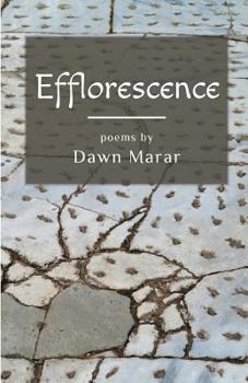 Paperback Efflorescence Book