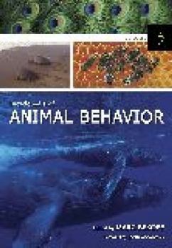 Hardcover Encyclopedia of Animal Behavior: Encyclopedia of Animal Behavior, Vol. 3: R-Z Book