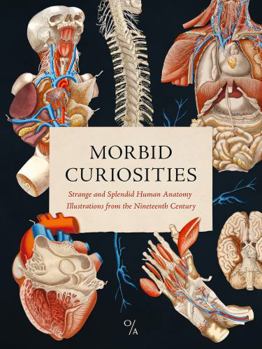 Morbid Curiosities: Strange and Splendid Human Anatomy Illustrations from the Nineteenth Century