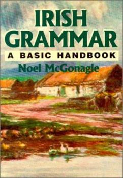 Paperback Irish Grammar: A Basic Handbook Book