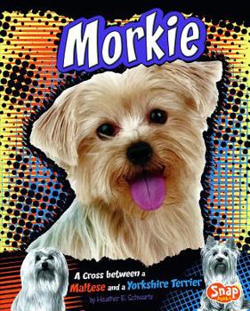 Hardcover Morkie: A Cross Between a Maltese and a Yorkshire Terrier Book