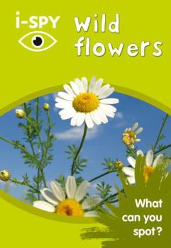 Paperback I-SPY WILD FLOWERS PB Book