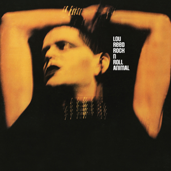 Vinyl Rock N Roll Animal Book