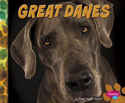 Hardcover Great Danes Book