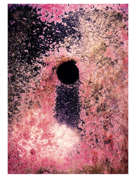 Paperback Taiyo Onorato & Nico Krebs: Water Column Book
