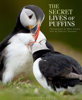 Hardcover The Secret Lives of Puffins Book