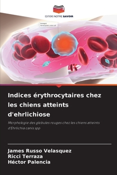 Indices érythrocytaires chez les chiens atteints d'ehrlichiose: Morphologie des globules rouges chez les chiens atteints d'Ehrlichia canis spp