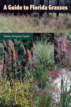 Paperback A Guide to Florida Grasses Book