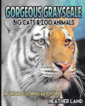 Paperback Gorgeous Grayscale: Big Cats & Zoo Animals: Adult Coloring Book