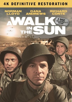 DVD A Walk In The Sun Book