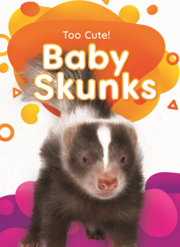 Baby Skunks