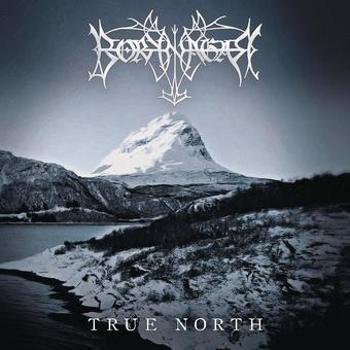 Vinyl True north  ie  metallic silver  2lp Book