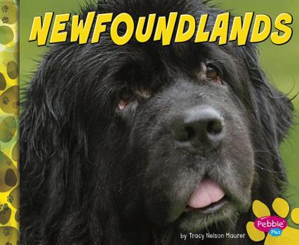 Hardcover Newfoundlands Book