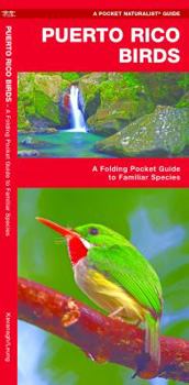 Paperback Puerto Rico Birds: A Folding Pocket Guide to Familiar Species Book