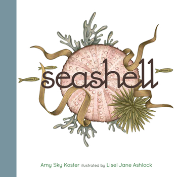 Board book Seashell Book