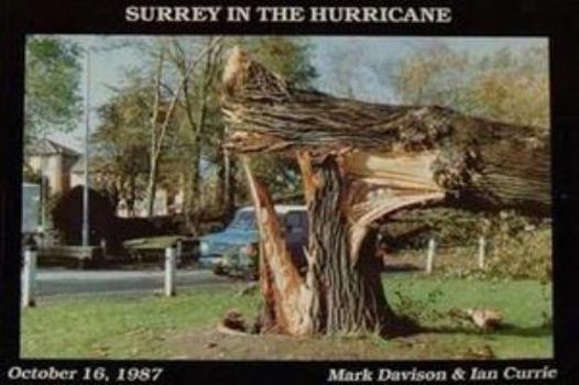 Paperback Surrey in the Hurricane Book