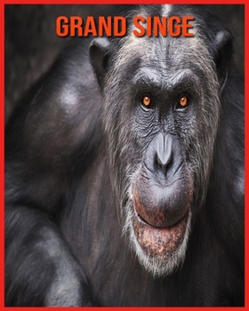 Grand Singe: Informations Etonnantes & Images