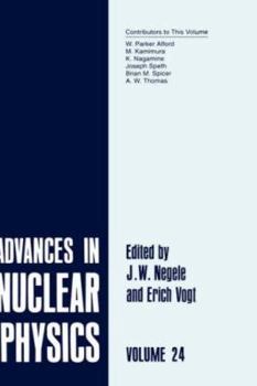 Hardcover Advances in Nuclear Physics: Volume 24 Book