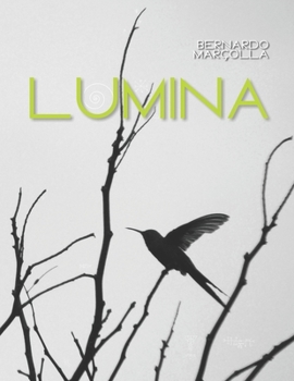 Paperback Lumina Book