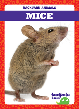 Paperback Mice Book