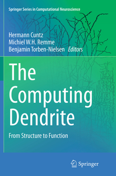 The Computing Dendrite: From Structure to Function