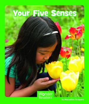 Paperback Your Five Senses Book