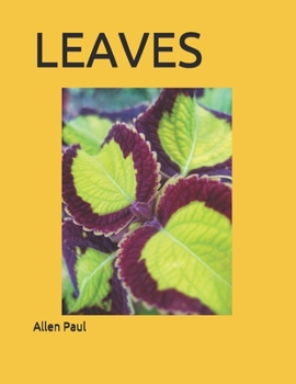 Paperback Leaves Book