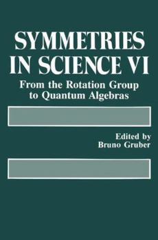Paperback Symmetries in Science VI: From the Rotation Group to Quantum Algebras Book