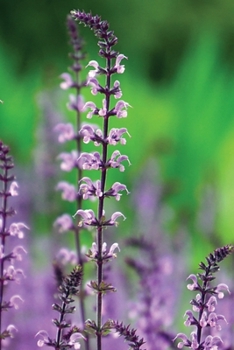 Low Vision Journal with Bold Lines 3/4 Apart : Notebook for Visually Impaired 6 X 9 Floral Cover