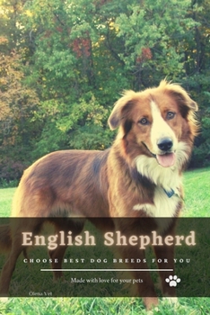 English Shepherd: Choose best dog breeds for you