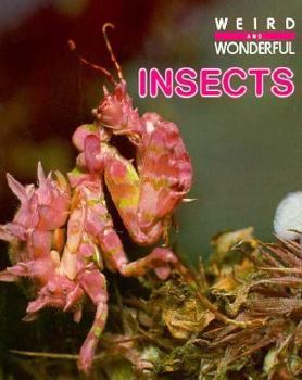 Paperback Insects Book