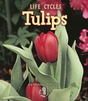 Tulips - Book  of the First Step Nonfiction: Plant Life Cycles