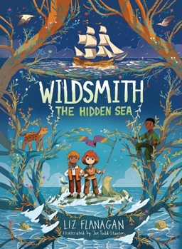 Paperback The Hidden Sea Book