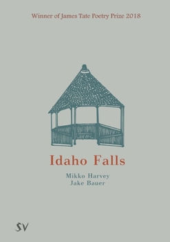 Paperback Idaho Falls Book