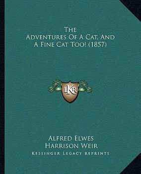 The Adventures Of A Cat, And A Fine Cat Too!
